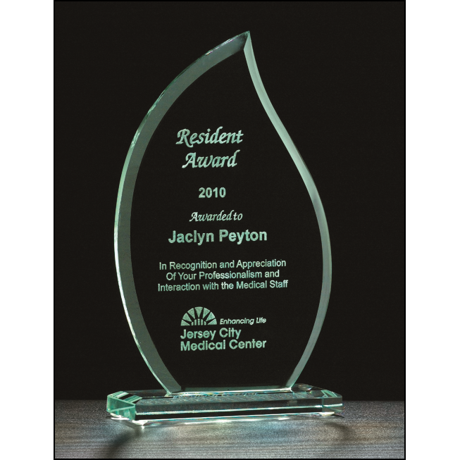 Flame Series Glass Award.