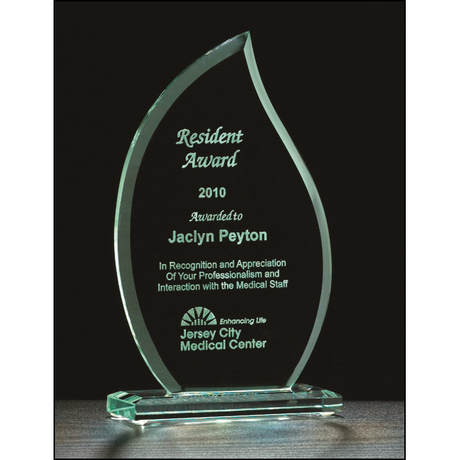 Flame Series Glass Award.