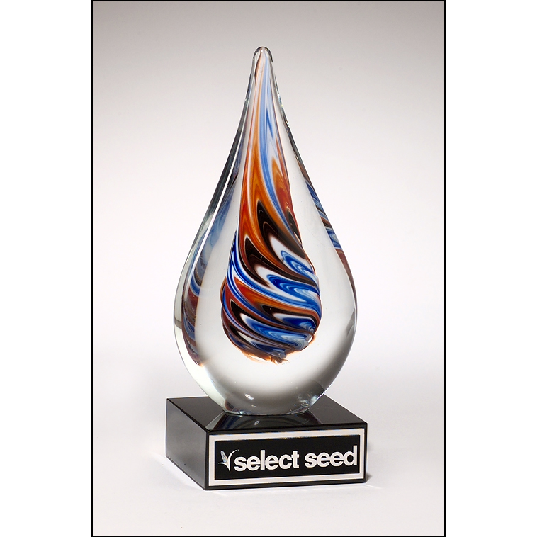 Teardrop-shaped art glass award on black glass base.