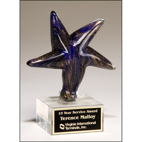 Multicolored star shaped glass art award.