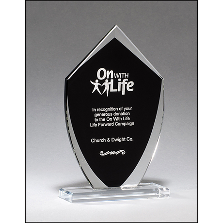 Shield Shaped Glass Award with Black Silk Screened Center.