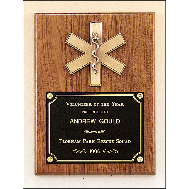 Emergency medical award with antique bronze finish casting.